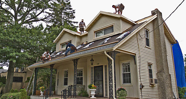 Best Local Roofing Companies  in Corbin, KY